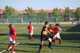 Torneo Ciudad Henares 2010 - Benjamines