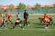 Torneo Ciudad Henares 2010 - Benjamines
