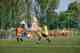 Torneo Ciudad Henares 2010 - Benjamines