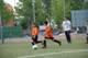 Torneo Ciudad Henares 2010 - Prebenjamines