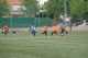 Torneo Ciudad Henares 2010 - Prebenjamines