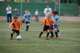 Torneo Ciudad Henares 2010 - Prebenjamines