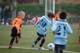 Torneo Ciudad Henares 2010 - Prebenjamines