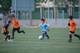 Torneo Ciudad Henares 2010 - Prebenjamines