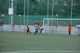Torneo Ciudad Henares 2010 - Prebenjamines