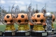 Torneo Ciudad Henares 2011