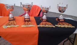 Torneo Ciudad Henares 2013